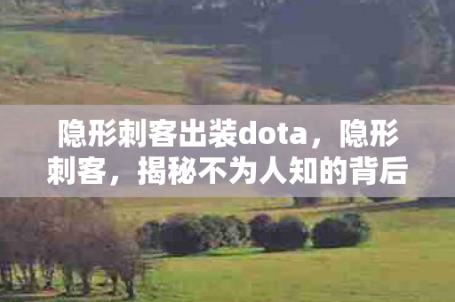隐形刺客出装dota,隐形刺客,揭秘不为人知的背后故事 隐形刺客出装dota,隐形刺客,揭秘不为人知的背后故事