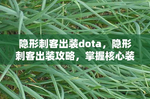 隐形刺客出装dota,隐形刺客出装攻略,掌握核心装备,轻松上分 隐形刺客出装dota,隐形刺客出装攻略,掌握核心装备,轻松上分