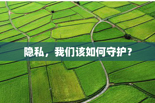 隐私，我们该如何守护？