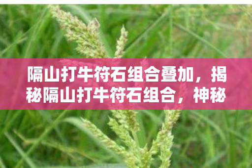 隔山打牛符石组合叠加,揭秘隔山打牛符石组合,神秘力量的无尽奥秘 隔山打牛符石组合叠加,揭秘隔山打牛符石组合,神秘力量的无尽奥秘