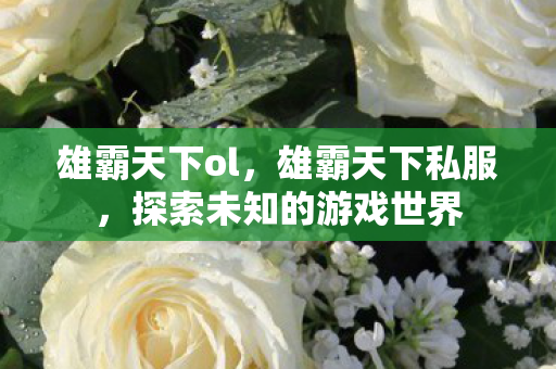雄霸天下ol,雄霸天下私服,探索未知的游戏世界 雄霸天下ol,雄霸天下私服,探索未知的游戏世界