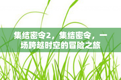 集结密令2,集结密令,一场跨越时空的冒险之旅 集结密令2,集结密令,一场跨越时空的冒险之旅