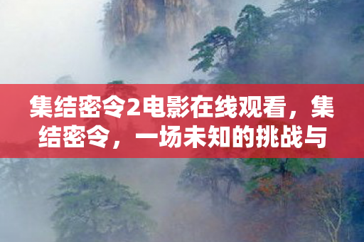 集结密令2电影在线观看，集结密令，一场未知的挑战与探索之旅