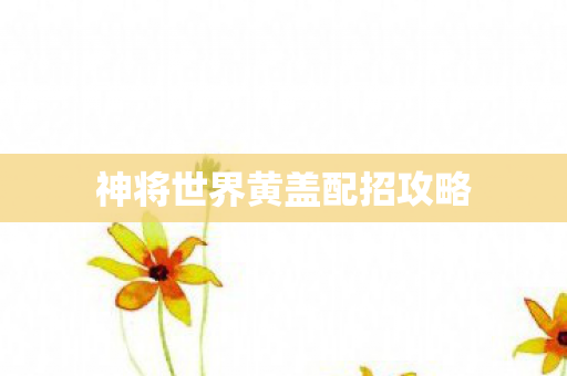 神将世界黄盖配招攻略