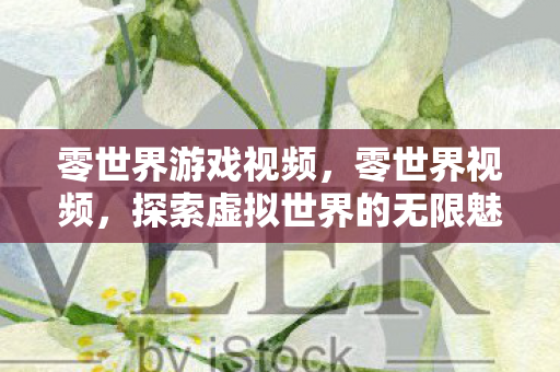 零世界游戏视频，零世界视频，探索虚拟世界的无限魅力