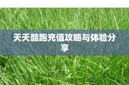 天天酷跑充值攻略与体验分享