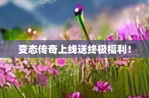 变态传奇上线送终极福利！