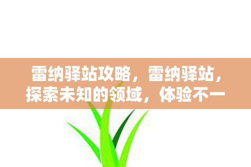 雷纳驿站攻略,雷纳驿站,探索未知的领域,体验不一样的世界 雷纳驿站攻略,雷纳驿站,探索未知的领域,体验不一样的世界