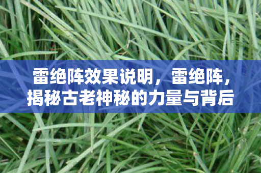 雷绝阵效果说明，雷绝阵，揭秘古老神秘的力量与背后的故事