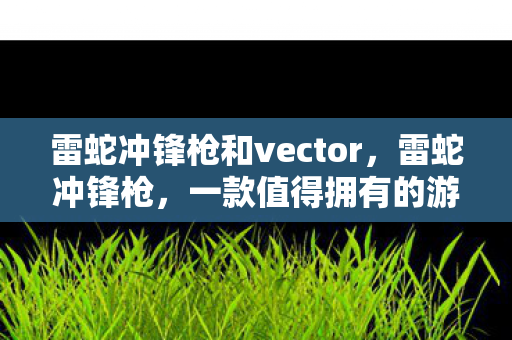 雷蛇冲锋枪和vector,雷蛇冲锋枪,一款值得拥有的游戏利器 雷蛇冲锋枪和vector,雷蛇冲锋枪,一款值得拥有的游戏利器