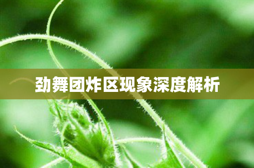劲舞团炸区现象深度解析