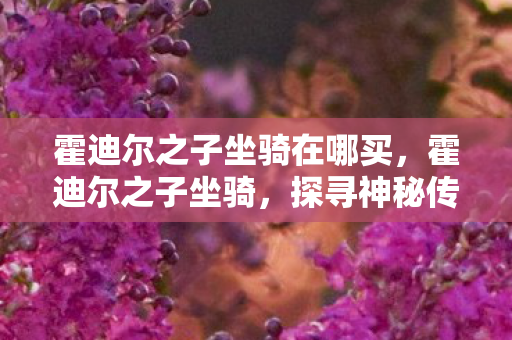 霍迪尔之子坐骑在哪买,霍迪尔之子坐骑,探寻神秘传说背后的故事 霍迪尔之子坐骑在哪买,霍迪尔之子坐骑,探寻神秘传说背后的故事