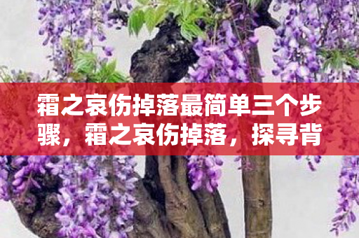 霜之哀伤掉落最简单三个步骤，霜之哀伤掉落，探寻背后的神秘与传奇