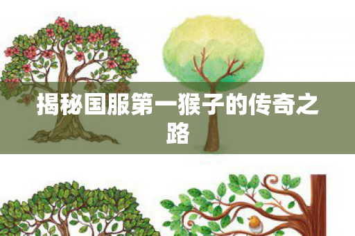揭秘国服第一猴子的传奇之路