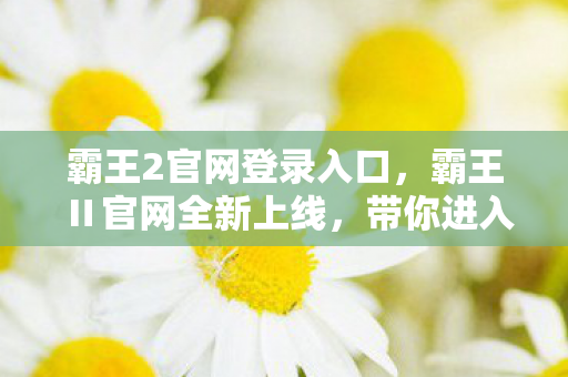 霸王2官网登录入口，霸王Ⅱ官网全新上线，带你进入更刺激的游戏世界！