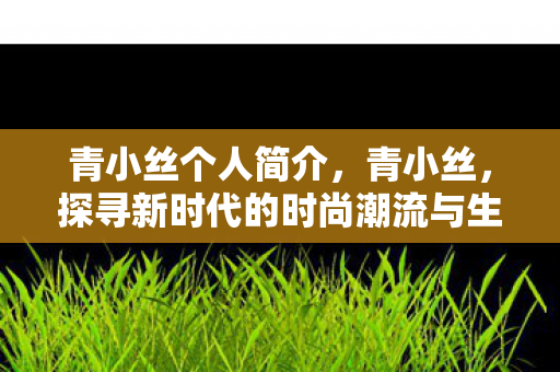 青小丝个人简介，青小丝，探寻新时代的时尚潮流与生活方式
