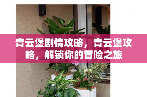 青云堡剧情攻略，青云堡攻略，解锁你的冒险之旅