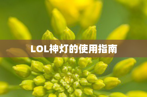 LOL神灯的使用指南