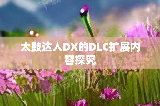 太鼓达人DX的DLC扩展内容探究
