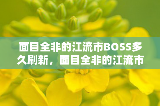 面目全非的江流市BOSS多久刷新,面目全非的江流市,变迁与挑战 面目全非的江流市BOSS多久刷新,面目全非的江流市,变迁与挑战