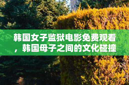 韩国女子监狱电影免费观看，韩国母子之间的文化碰撞与情感交融