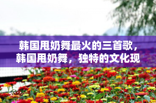 韩国甩奶舞最火的三首歌，韩国甩奶舞，独特的文化现象与魅力展现