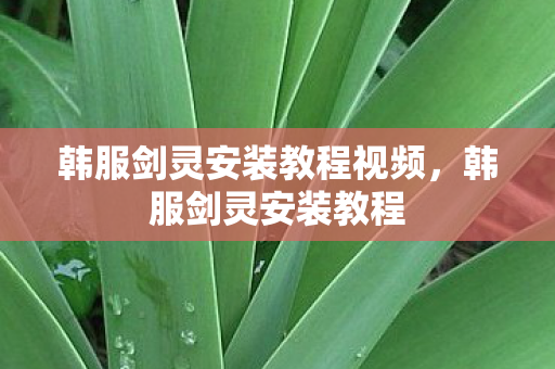 韩服剑灵安装教程视频,韩服剑灵安装教程 韩服剑灵安装教程视频,韩服剑灵安装教程