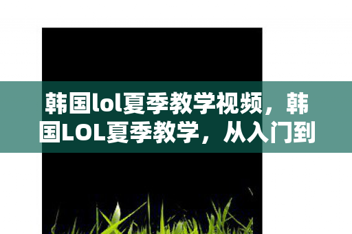 韩国lol夏季教学视频，韩国LOL夏季教学，从入门到精通