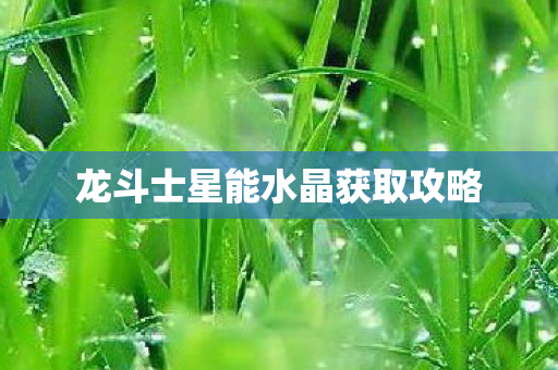 龙斗士星能水晶获取攻略