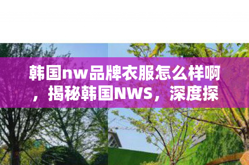 韩国nw品牌衣服怎么样啊，揭秘韩国NWS，深度探索背后的真相与影响力