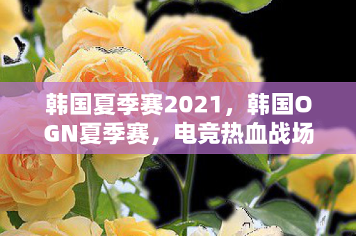 韩国夏季赛2021，韩国OGN夏季赛，电竞热血战场，新星闪耀时刻