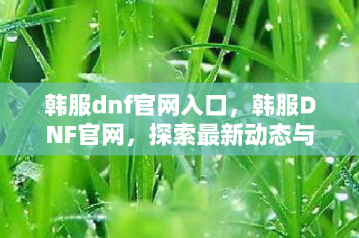 韩服dnf官网入口，韩服DNF官网，探索最新动态与游戏攻略