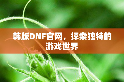 韩版DNF官网，探索独特的游戏世界