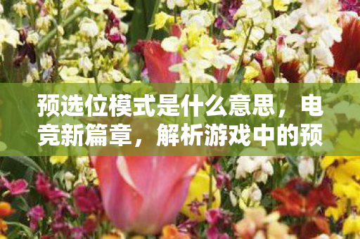 预选位模式是什么意思，电竞新篇章，解析游戏中的预选位模式