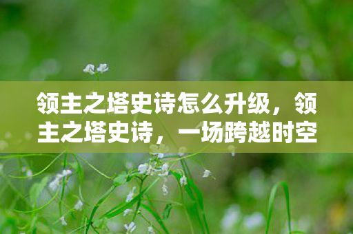 领主之塔史诗怎么升级,领主之塔史诗,一场跨越时空的传奇之旅 领主之塔史诗怎么升级,领主之塔史诗,一场跨越时空的传奇之旅