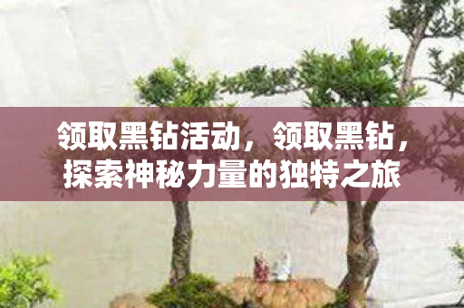 领取黑钻活动，领取黑钻，探索神秘力量的独特之旅