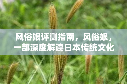 风俗娘评测指南，风俗娘，一部深度解读日本传统文化的视觉盛宴