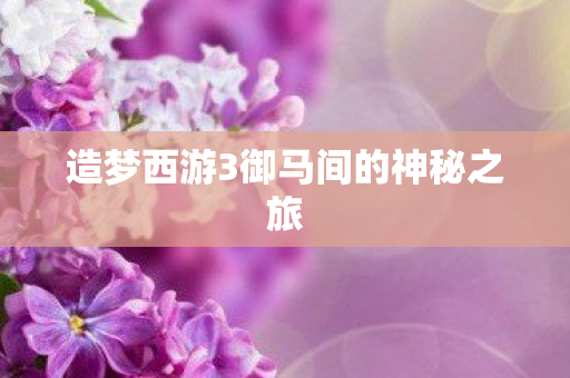 造梦西游3御马间的神秘之旅