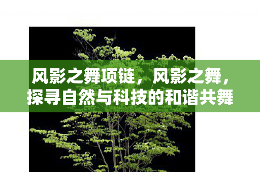 风影之舞项链,风影之舞,探寻自然与科技的和谐共舞之道 风影之舞项链,风影之舞,探寻自然与科技的和谐共舞之道