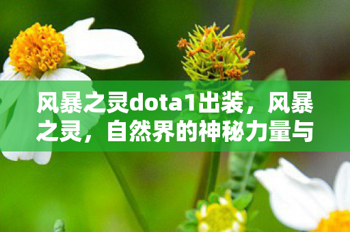 风暴之灵dota1出装,风暴之灵,自然界的神秘力量与人类的探索之旅 风暴之灵dota1出装,风暴之灵,自然界的神秘力量与人类的探索之旅