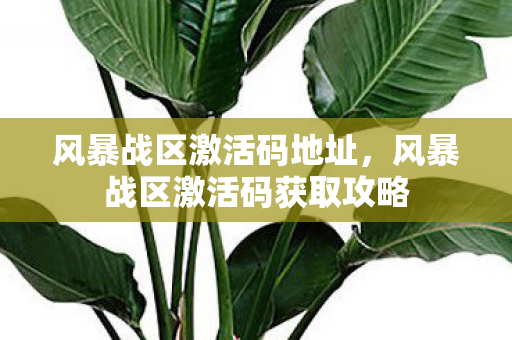 风暴战区激活码地址,风暴战区激活码获取攻略 风暴战区激活码地址,风暴战区激活码获取攻略