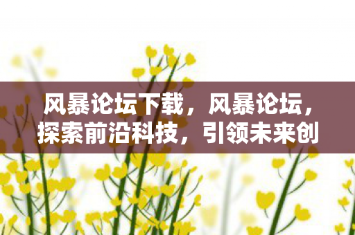 风暴论坛下载,风暴论坛,探索前沿科技,引领未来创新 风暴论坛下载,风暴论坛,探索前沿科技,引领未来创新