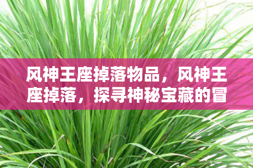 风神王座掉落物品，风神王座掉落，探寻神秘宝藏的冒险之旅