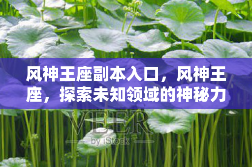 风神王座副本入口,风神王座,探索未知领域的神秘力量 风神王座副本入口,风神王座,探索未知领域的神秘力量