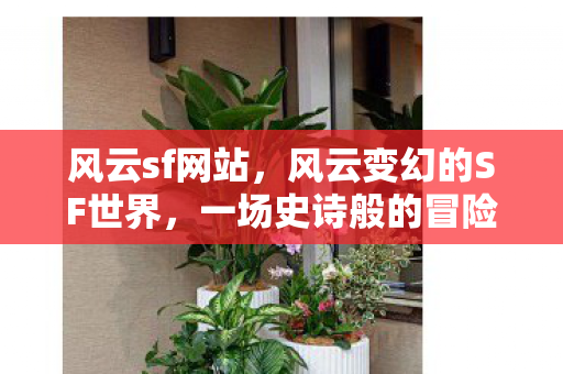 风云sf网站，风云变幻的SF世界，一场史诗般的冒险之旅