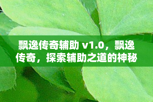 飘逸传奇辅助 v1.0,飘逸传奇,探索辅助之道的神秘面纱 飘逸传奇辅助 v1.0,飘逸传奇,探索辅助之道的神秘面纱