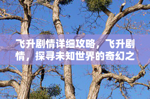 飞升剧情详细攻略，飞升剧情，探寻未知世界的奇幻之旅