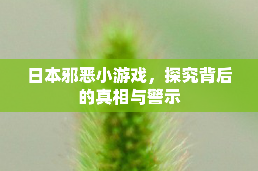 日本邪恶小游戏,探究背后的真相与警示 日本邪恶小游戏,探究背后的真相与警示