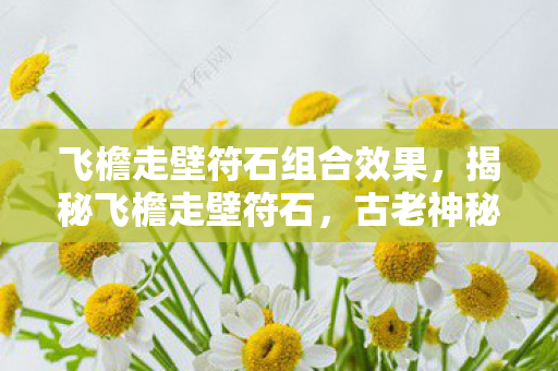 飞檐走壁符石组合效果，揭秘飞檐走壁符石，古老神秘力量的现代解读