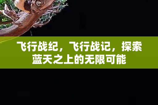 飞行战纪,飞行战记,探索蓝天之上的无限可能 飞行战纪,飞行战记,探索蓝天之上的无限可能